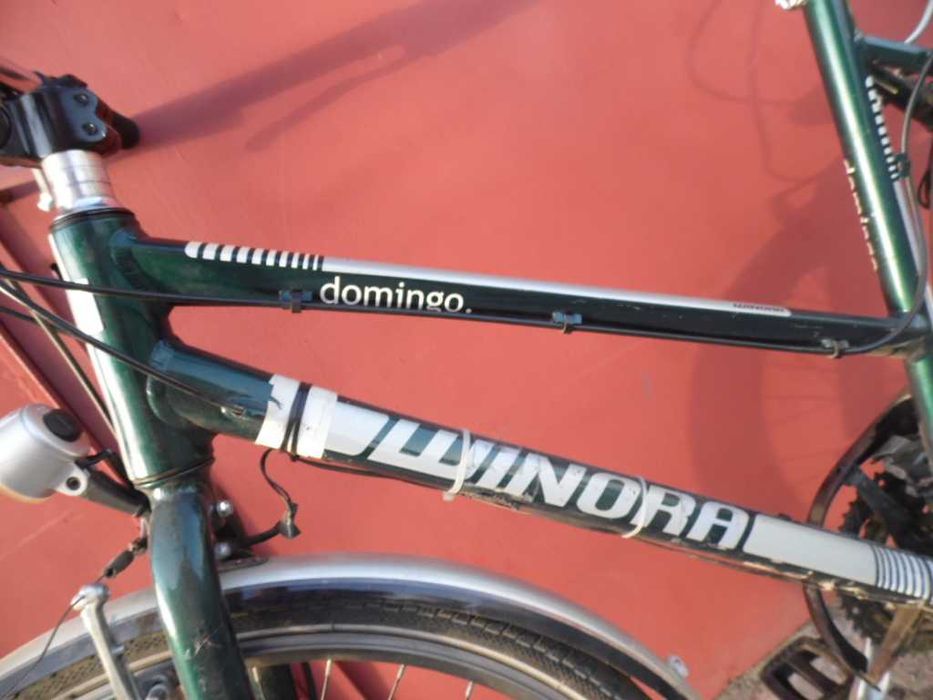 Rower Winora Domingo