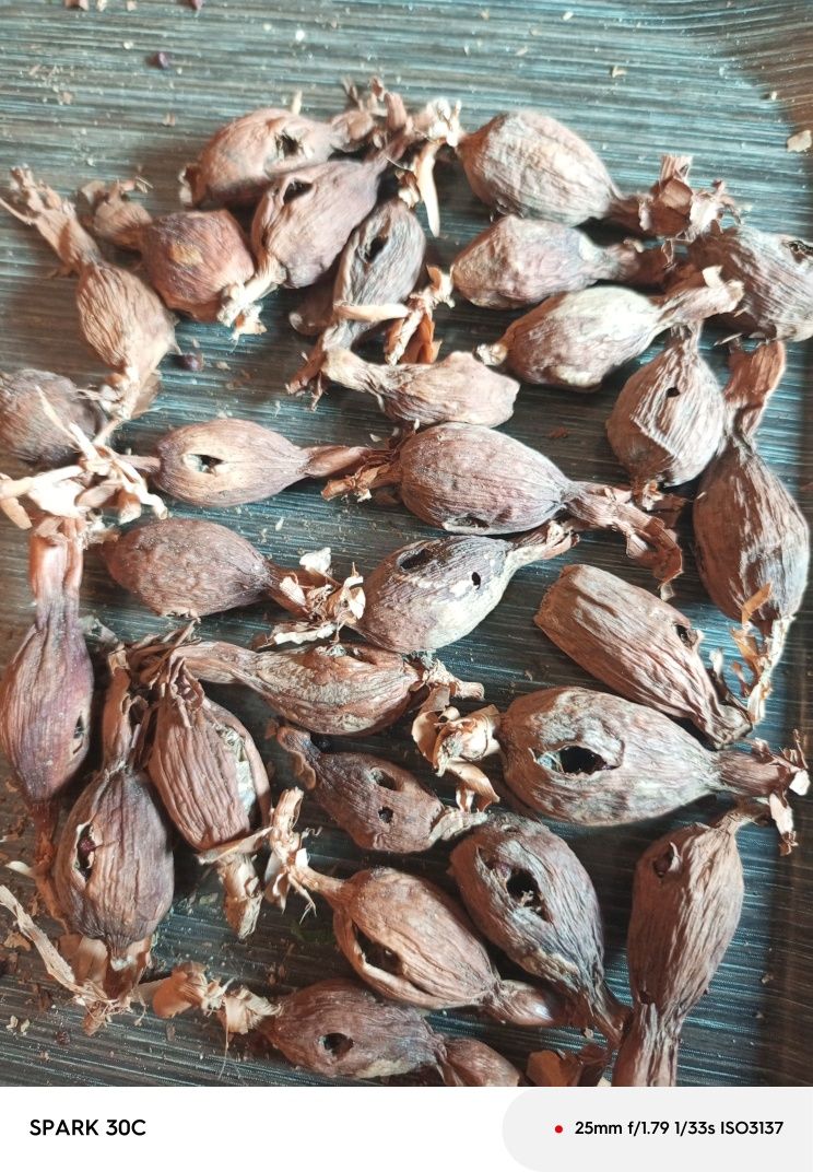 Comidas africanas