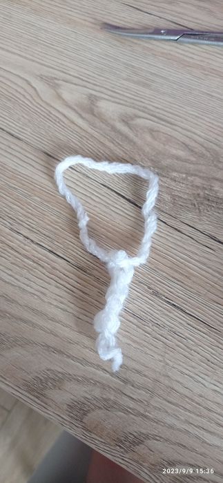 Obroża dla małego psa