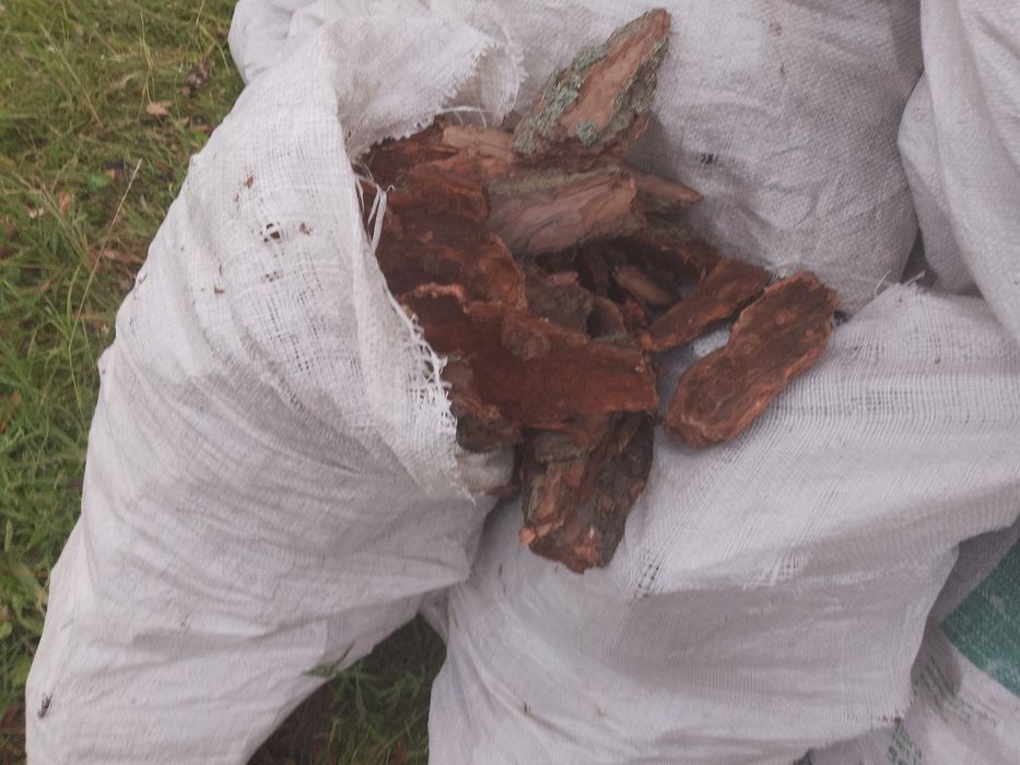 Продам соснову кору