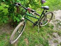 Rower Rider zielony damski 26 cali