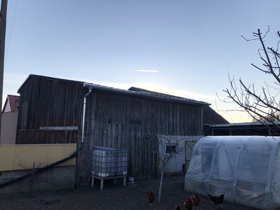 Stodoła Szopa Deski Stare Drzewo Loft