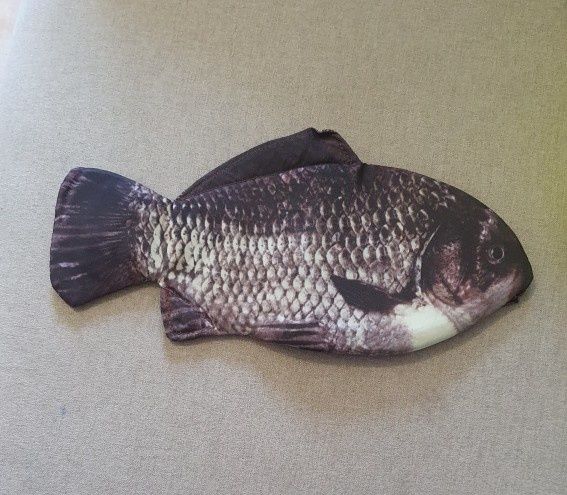 Пенал школьный в форме рыбы, для ручек,канцелярский, рыба,карась