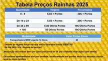 Abelhas Rainha (Virgens e Fecundadas)