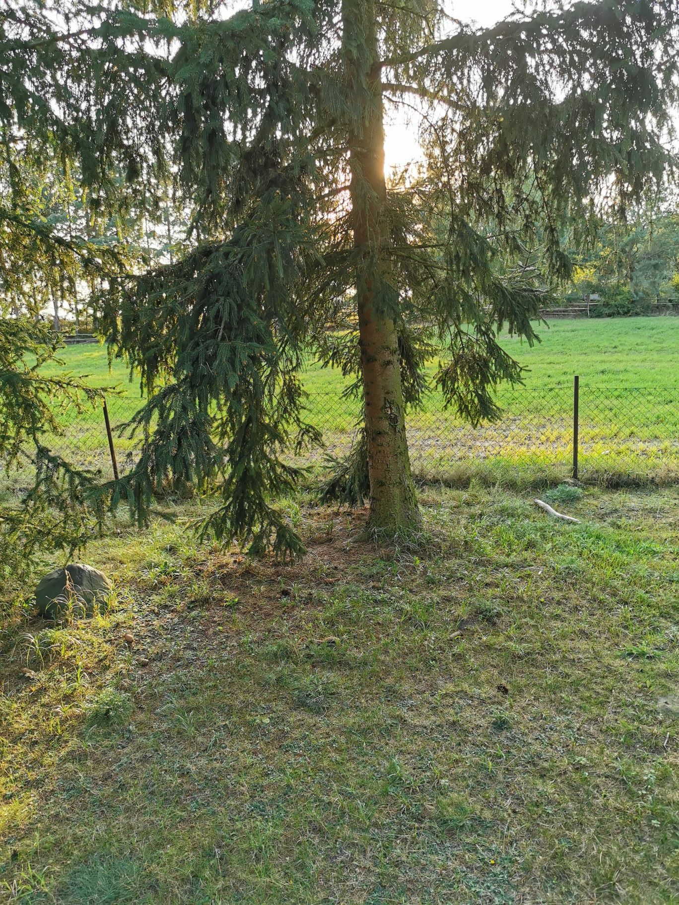 domki letniskowe do wynajecia nad jeziorami