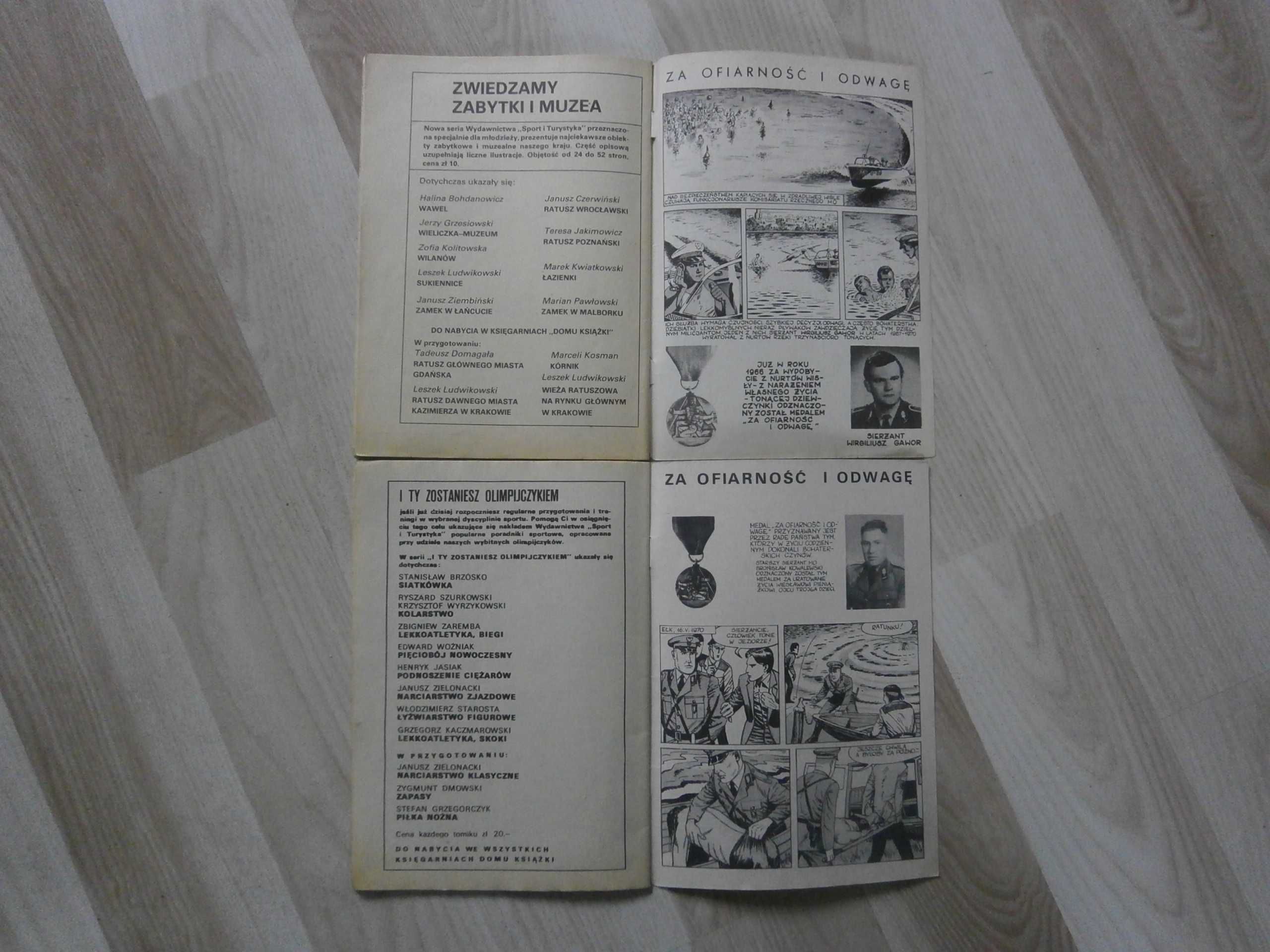 Pogoń za lwem Salto śmierci - komiks 1980 seria