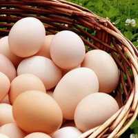 Jaja wiejskie wkładka 30 jaj