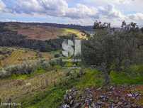 Terreno em Jorjais