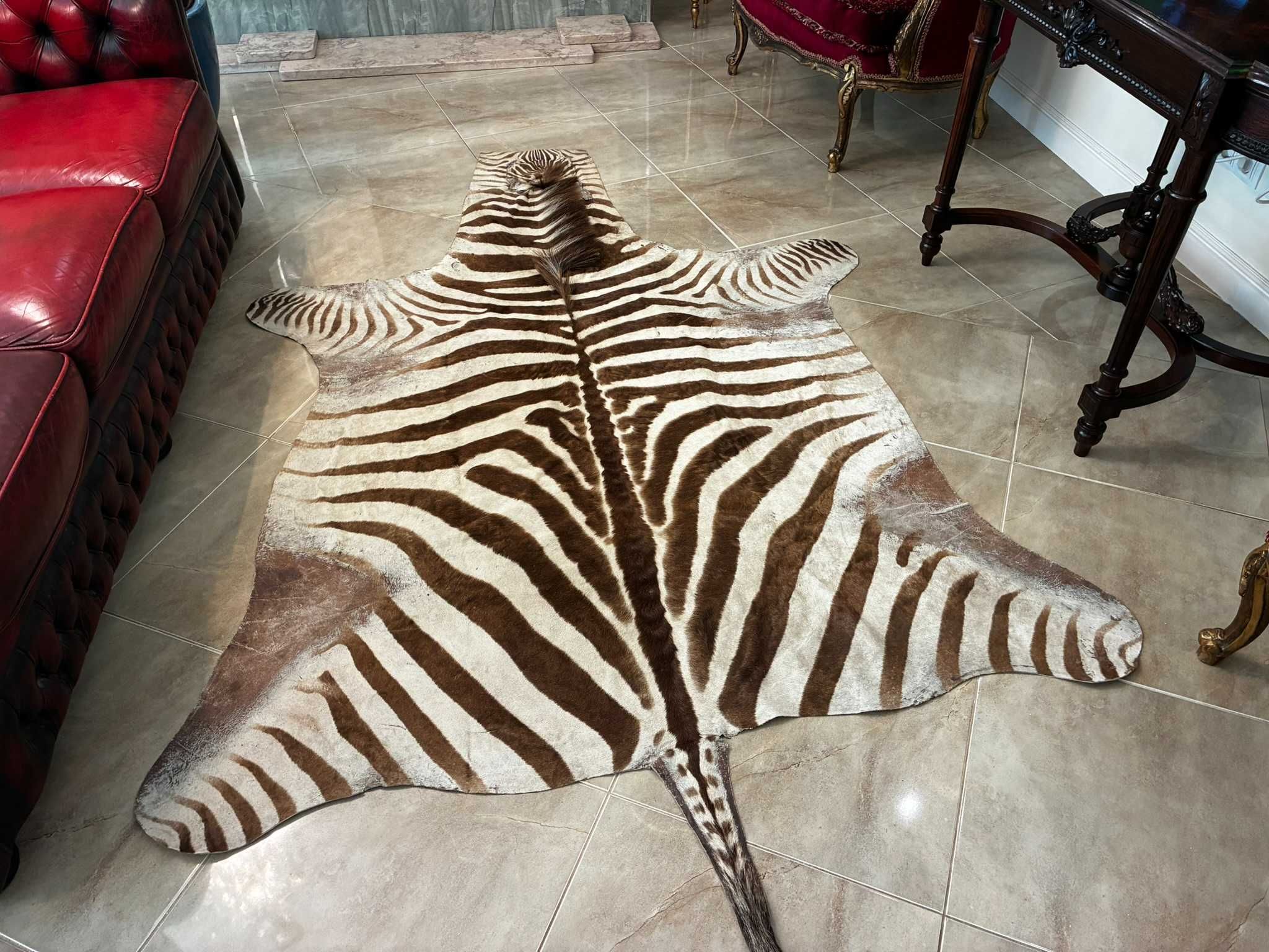 PELE DE ZEBRA - Corpo Inteiro - Equus quagga - 290 cm - 170 cm - 1 cm