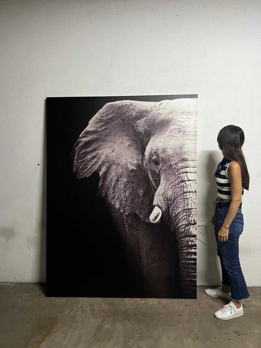 Tela com elefante a P&B