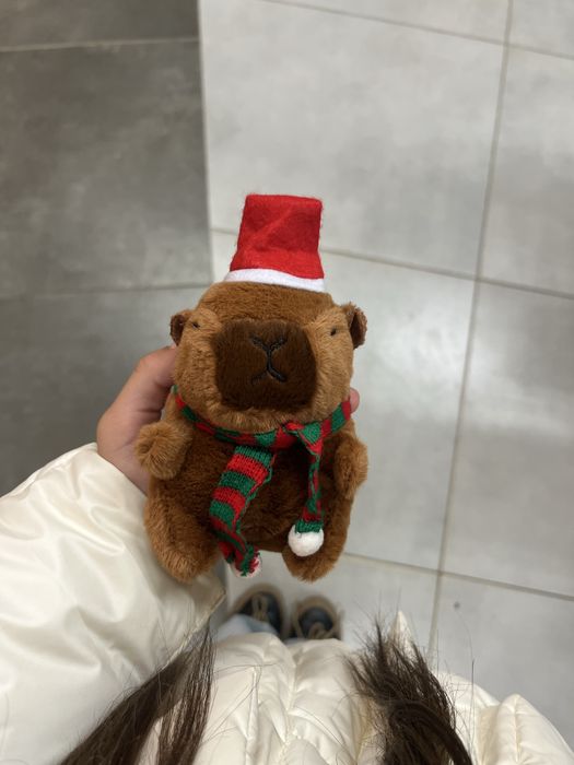 Розпродажа Капібара новорічна