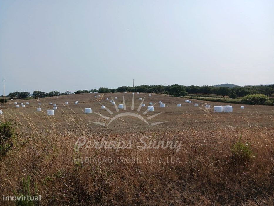 Herdade Raco de Baixo - Cercal e São Luís