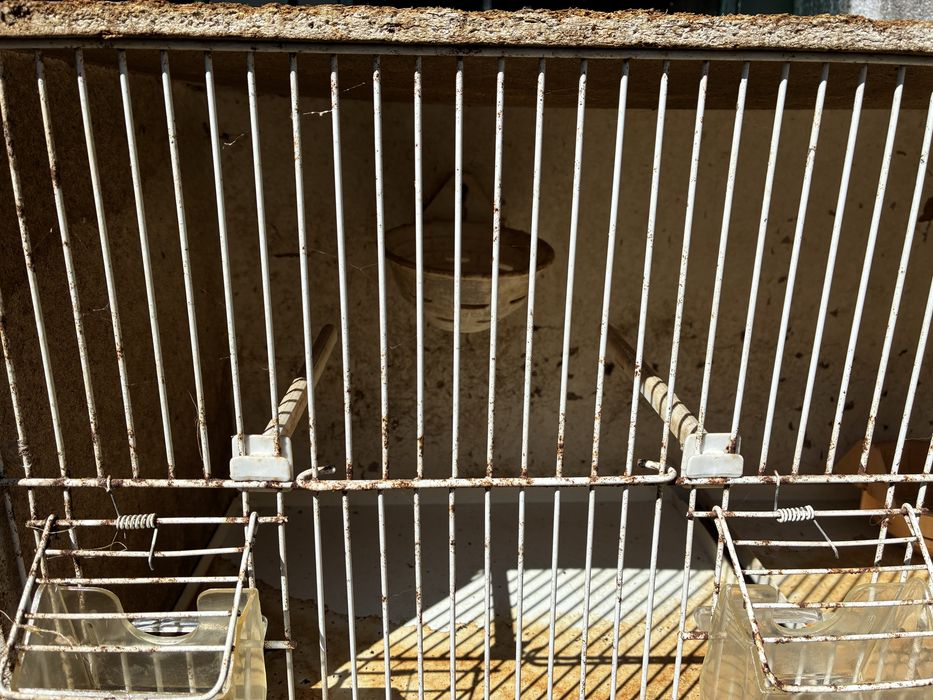 Gaiolão para pássaro