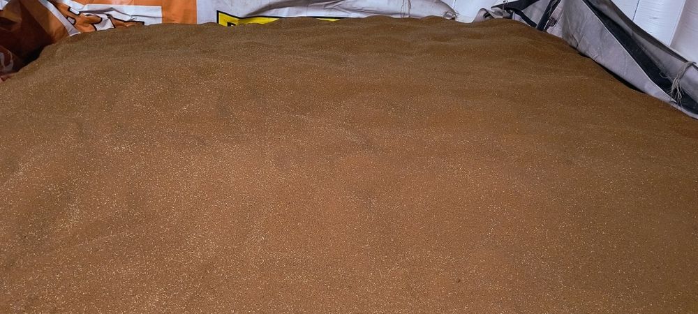 Lnianka siewna jara  do siewu/ na poplon jak Gorczyca