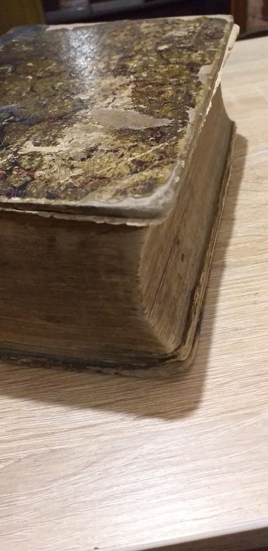 Библия 1894г Антикварная церковная книга