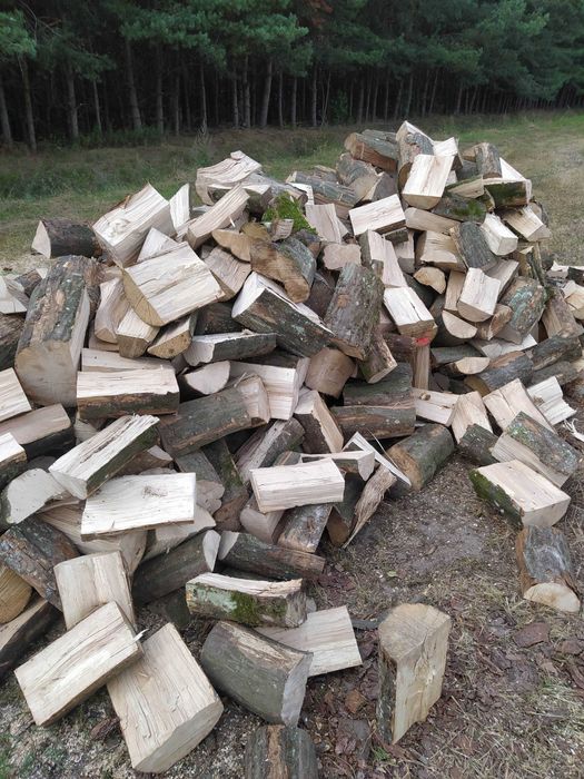 Olcha, Brzoza, Dąb, Buk, Grab kominkowy