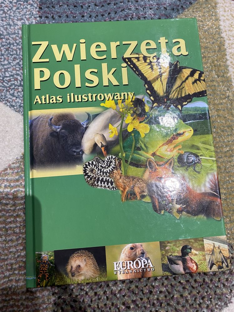 Zwierzeta polski atlas ilustrowany