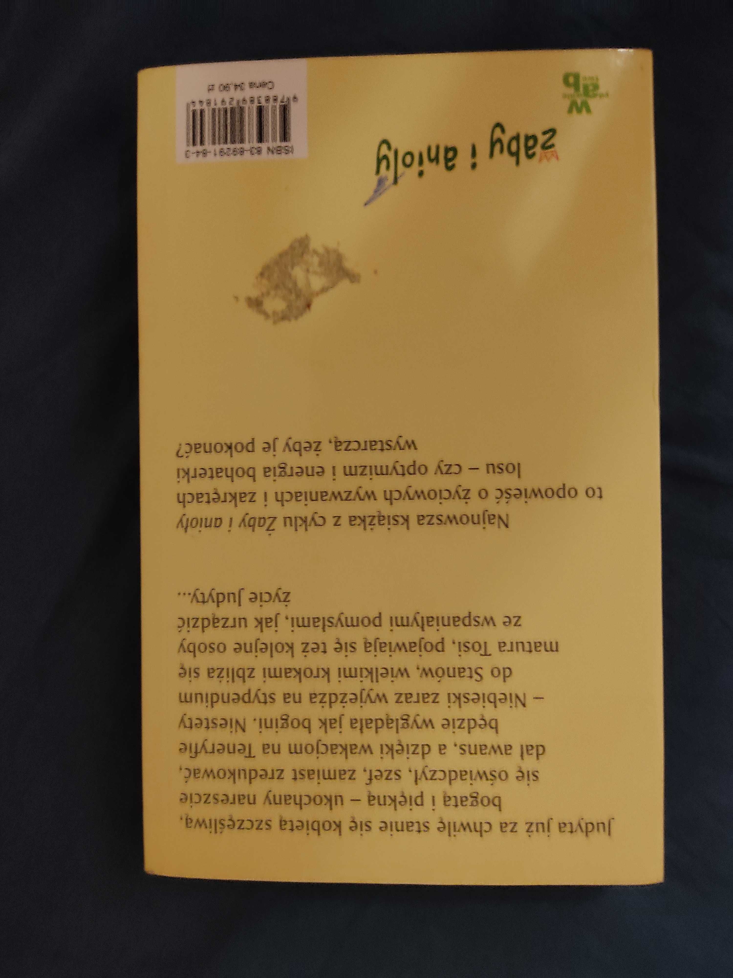 Książka, powieści Katarzyna Grochola