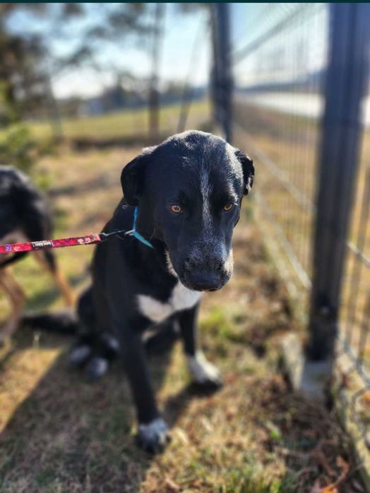 Misia uwielbia dzieci.