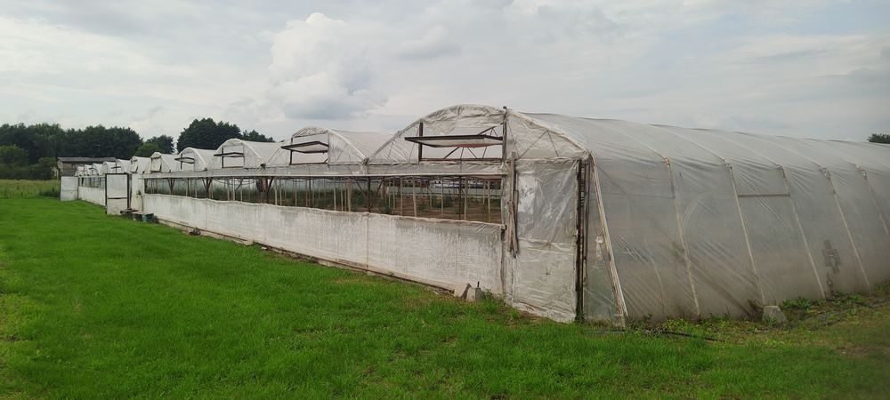 Tunel foliowy zblokowany