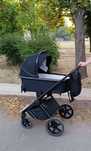 Carrello Ultimo 2024