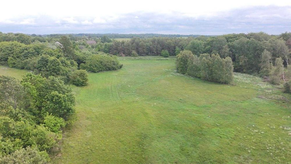 Działka siedliskowa w Wiele 1,72 ha, z wydanymi warunkami zabudowy.