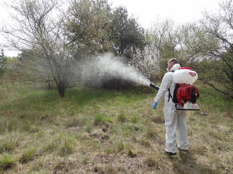 Deratyzacja dezynsekcja Zwalczanie pluskiew dezynfekcja,gazowanie fumi