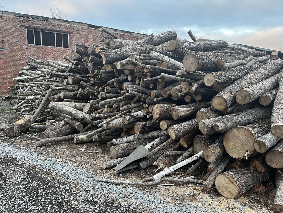 Продам дрова сухі МІКС