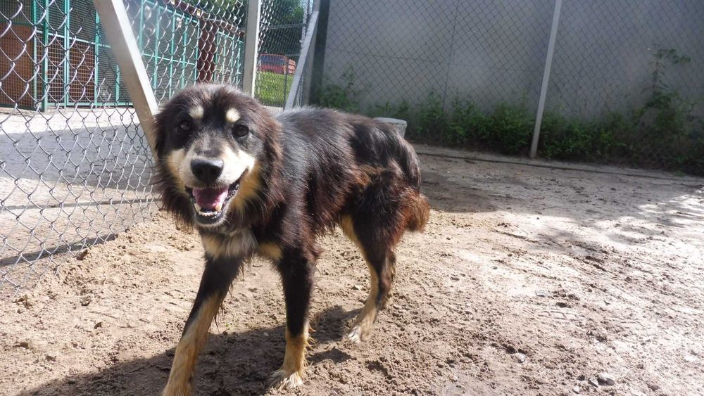 Eliot do samochodu nie wsiądzie...