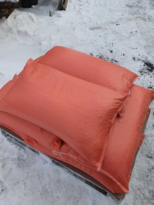 SŁONECZNIK ziarno słonecznika dla ptaków nasiona w łupinie dostawa DHL