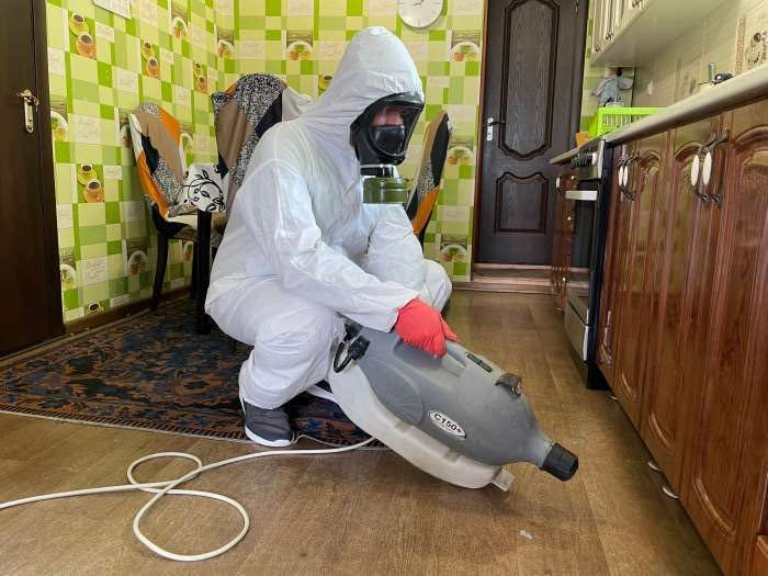 Уничтожение тараканов, клопов, блох, ос шершней знищення комах