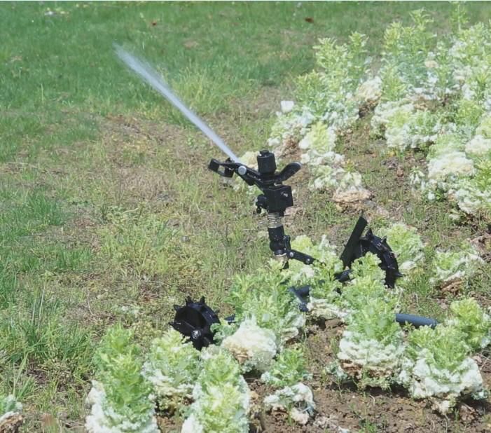 deszczownia tajfun nawadnianie ogrodu 40m automatyczna