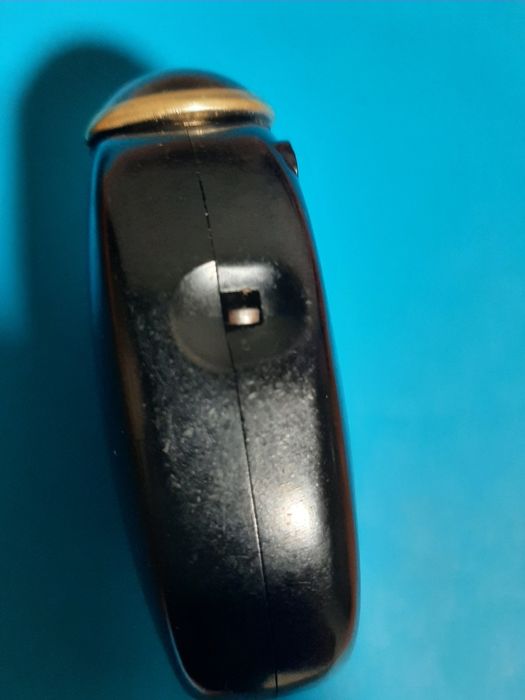 Фонарик жучок,  рідкісний.