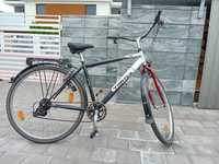 Miejski rower Vortex Travel 100