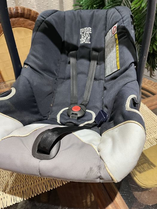 Ovo de bebé Pré natal