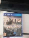 Gra PS4/5 Dziedzictwo Hogwartu, Hogwarts Legacy