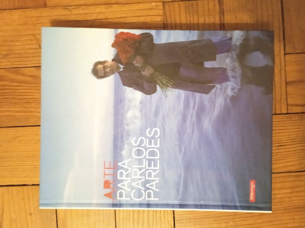 Livros de arte diversos