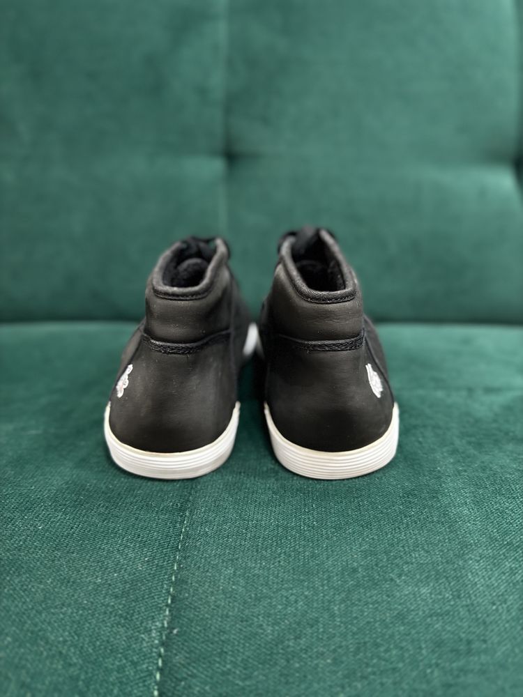 buty męskie firmy Lacoste