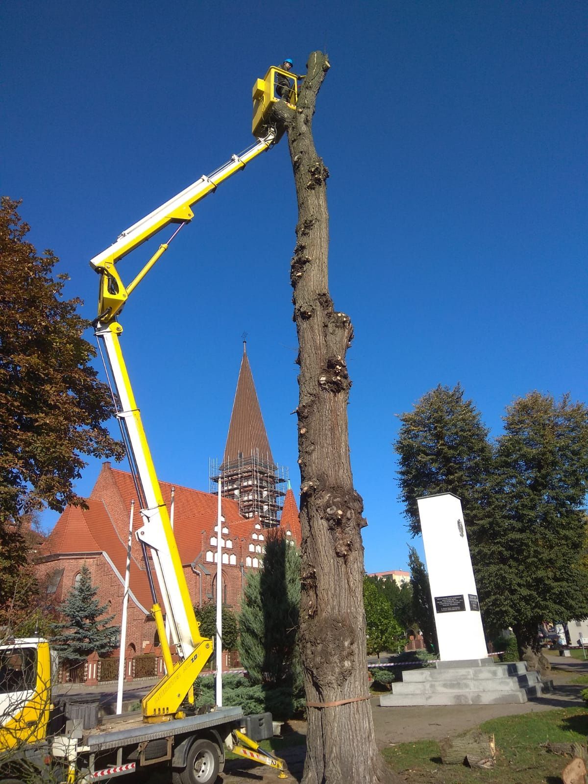 Wycinka drzew. Usługi podnośnikiem koszowym. Zwyżka