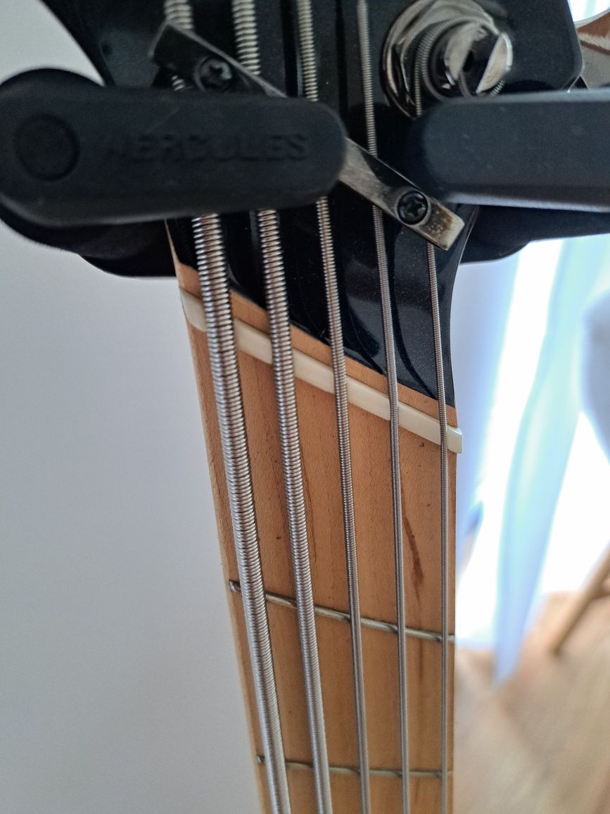 Dingwall NG3 Nolly Singature 5 | multiskala | fanned fret