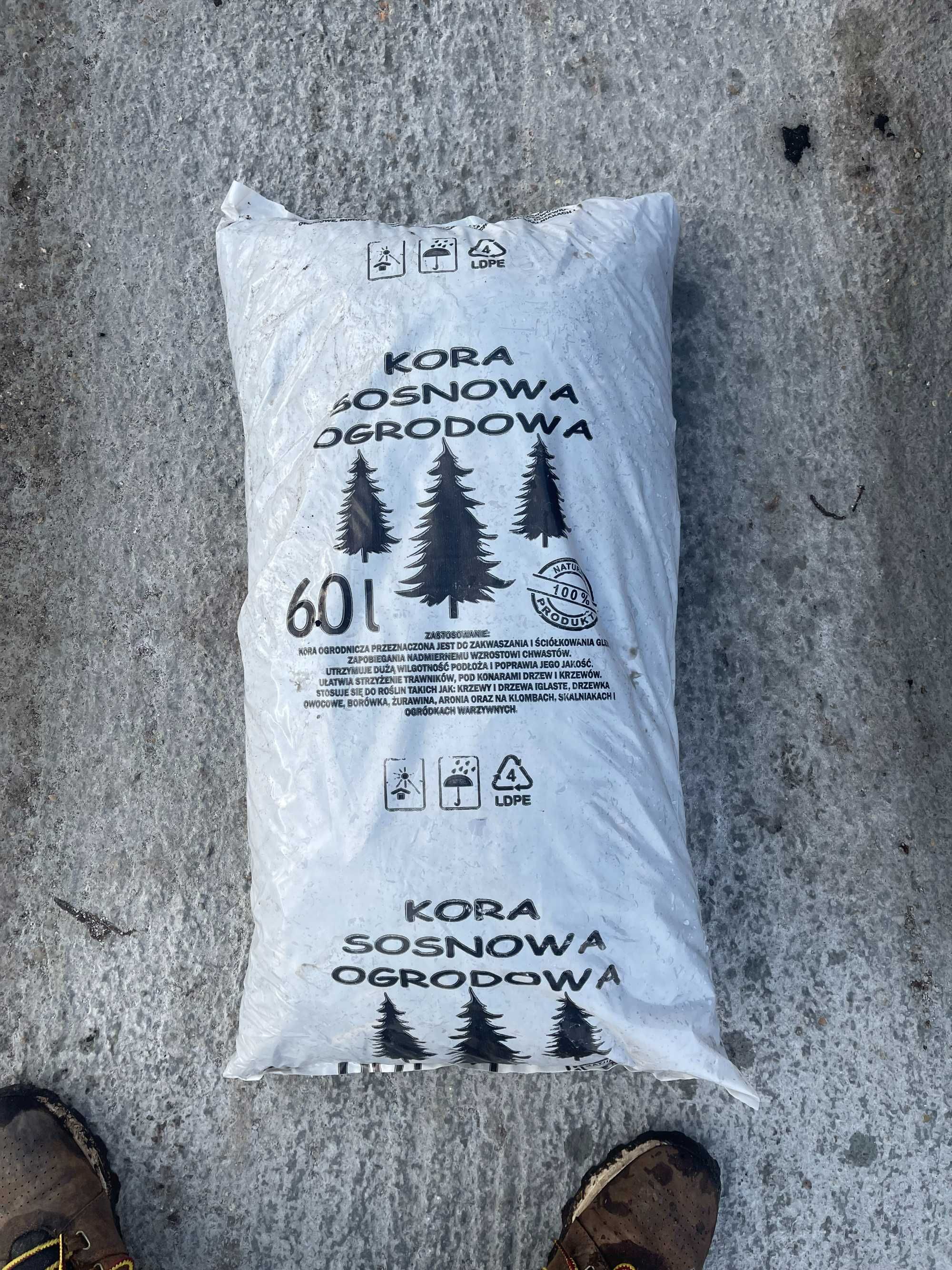 Kora Sosnowa 80L hurt detal wysyłka cały kraj