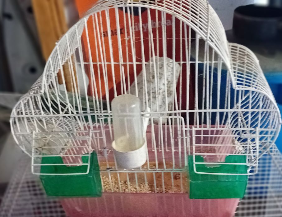 Vendo Gaiolas usadas
