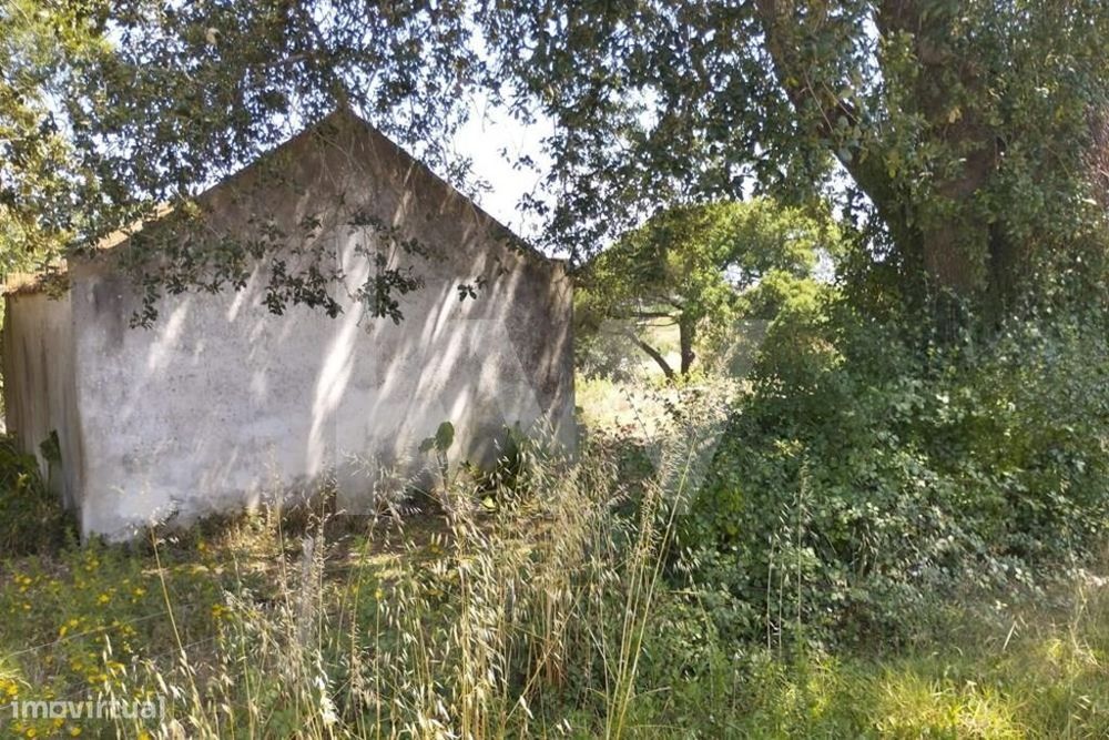 Venda de ruína e terreno com 2 hectares, em Jerumelo, Malveira