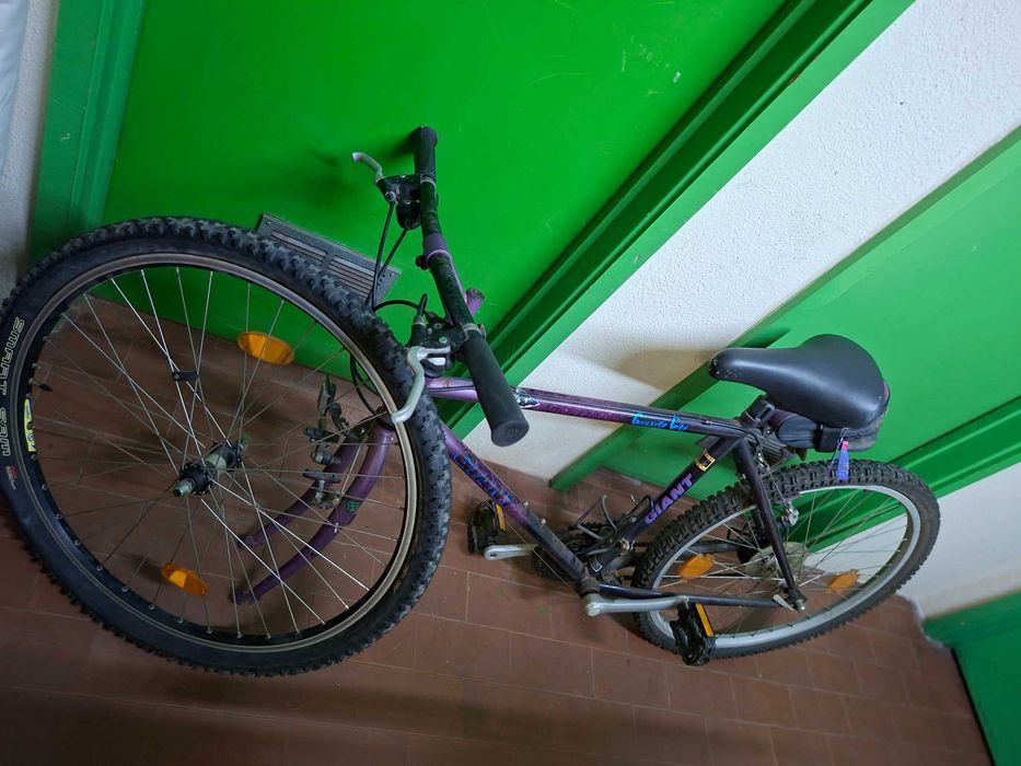 Bicicleta para adulto