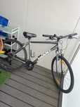 Rower Giant MTB Meski