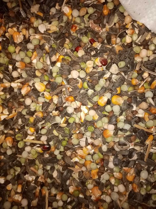 Karma dla gołębi grubsze ziarna 25kg mix