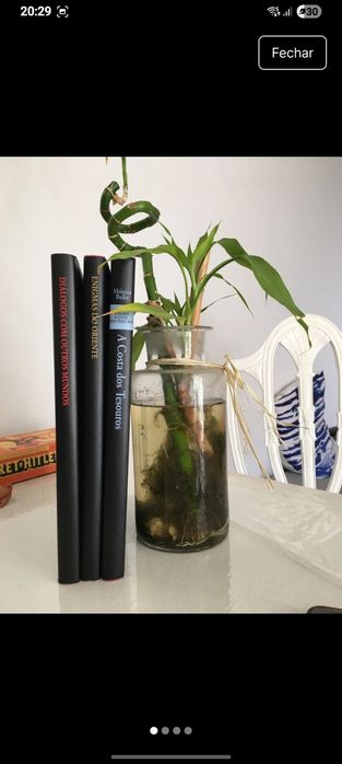 Set 3 livros | Enigmas | Círculo de Leitores