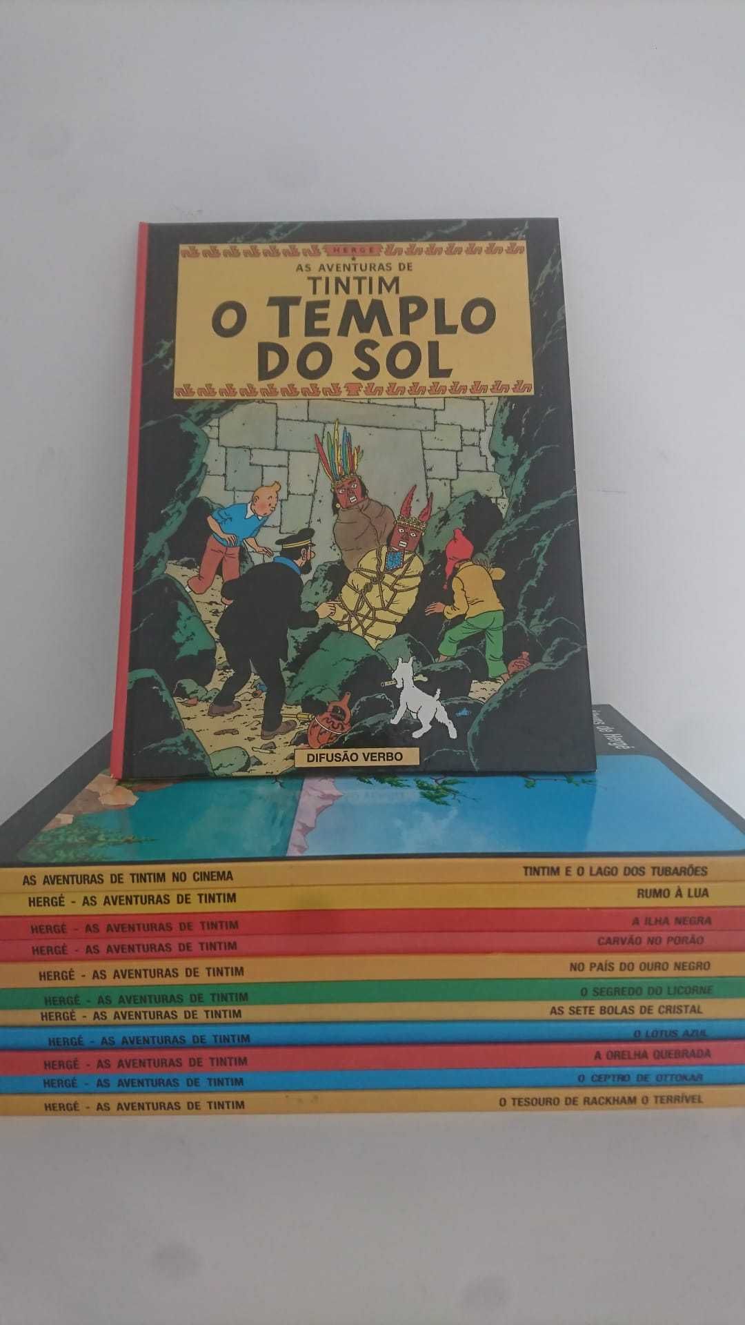 Conjunto 12 livros do Tintin dos anos 90