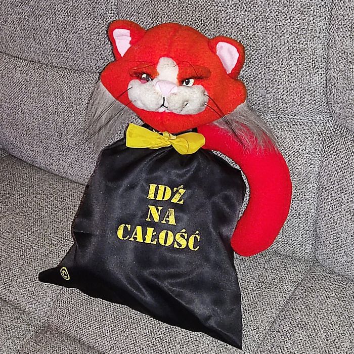 Zonk Kot idź na całość