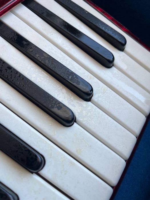 Акардіон weltmeister